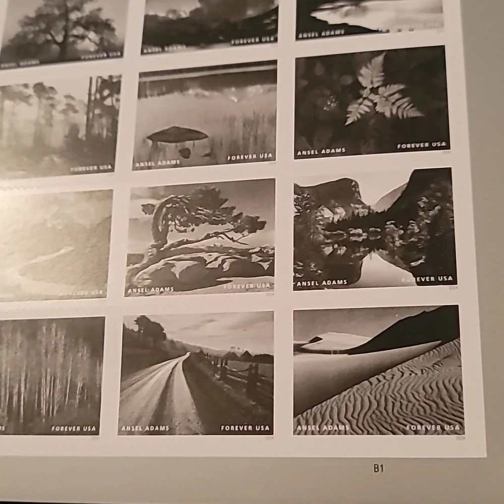 80 Ansel Adams Forever 2024 Postage Stamps USPS Wedding Invitations 2024
